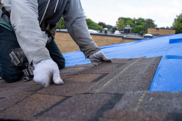 Best Metal Roofing Contractor  in Whitney, NV